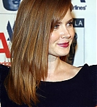 Filename=008.jpg
Filesize=47KiB
Dimensions=500x752
Date added=Jun 05, 2020 008.jpg