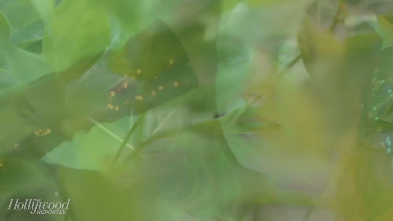 caps018.jpg